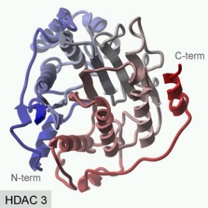 hdac