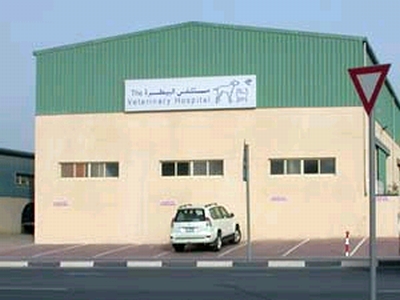 VETERINARY HOSPITAL, THE