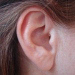 human-ear