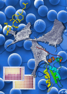 microscopic-polymer-beads