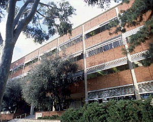 ucla