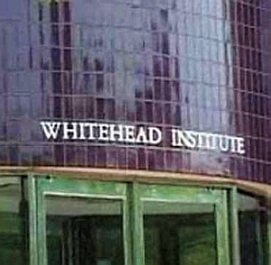 whitehead-institute