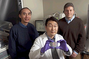 Deok-Ho-Kim-holds-nanopatterned-chip