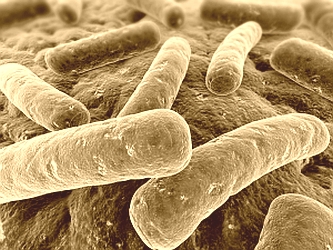 Sepsis-Causing Bacteria