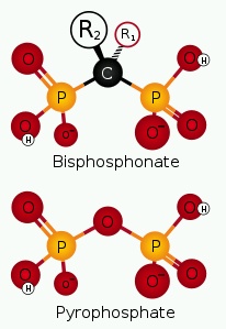 bisphosphonates