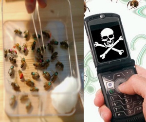 cell-phone-honney-bee