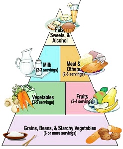 diabetes-causes