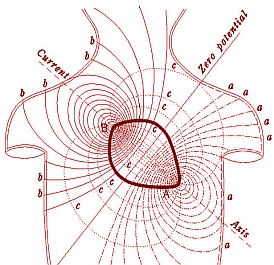 heart-field